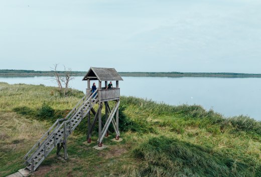 Wieża widokowa Riether Stiege nad Zalewem Szczecińskim wykonana z drewna i z dalekim widokiem
