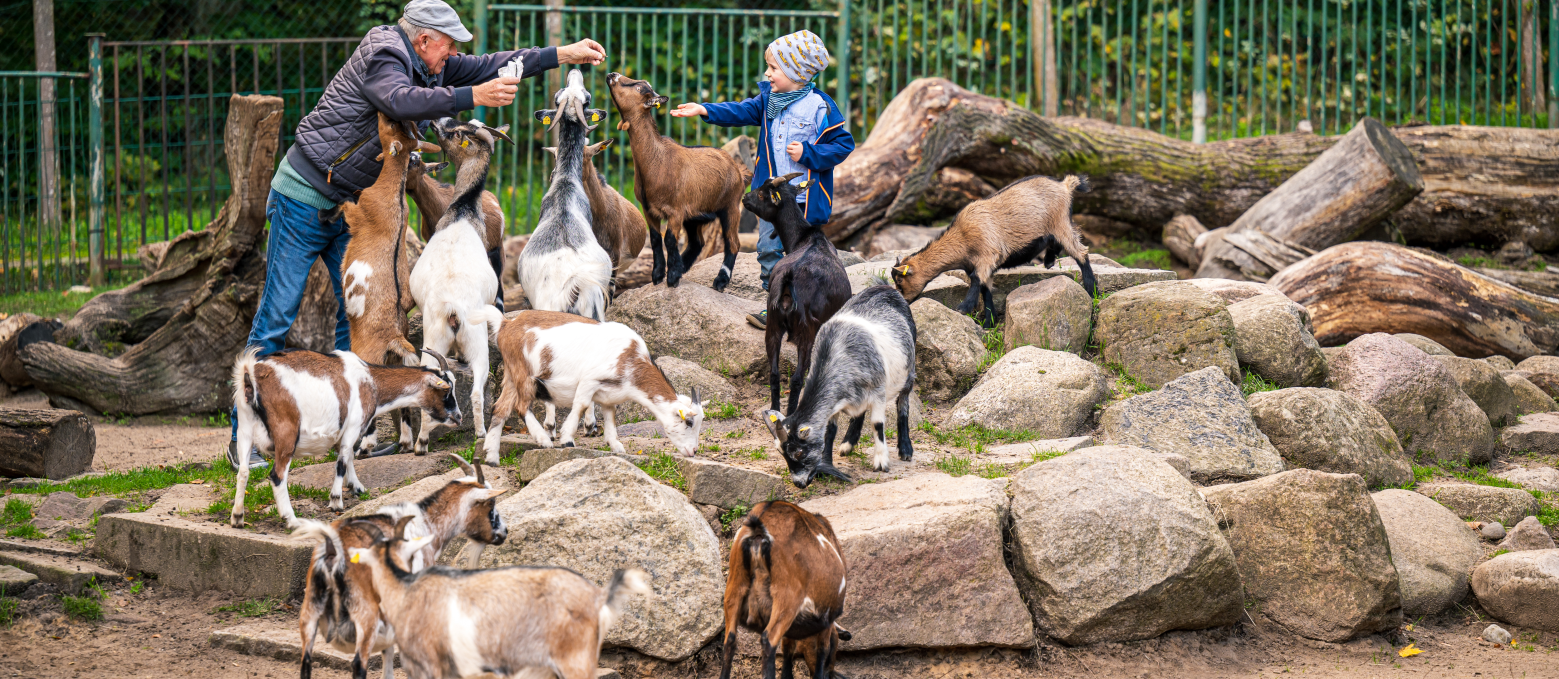 Zoo Neustrelitz, © TMV/Tiermann