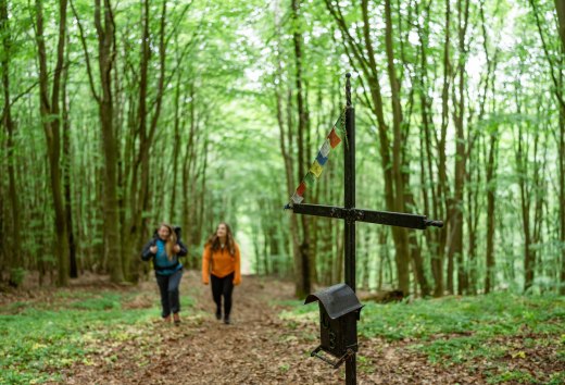 De Helpter Berg - de hoogste top van Mecklenburg-Vorpommern - meet 179 meter. Dat is genoeg om de vriendinnen buiten adem te krijgen! Vergeet natuurlijk niet het topboek te tekenen!