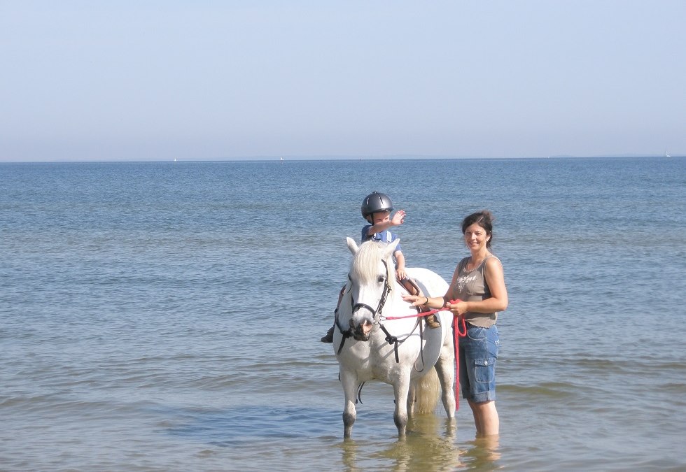 Beach rides for all those who are not yet firmly in the saddle, © Pferdesport Brauns