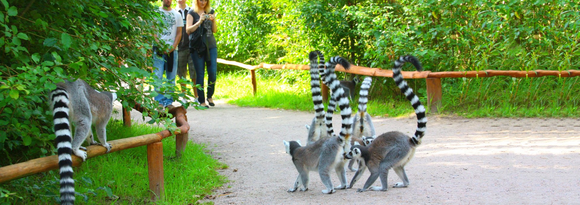 Kalosze, © Vogelpark Marlow/Zöger
