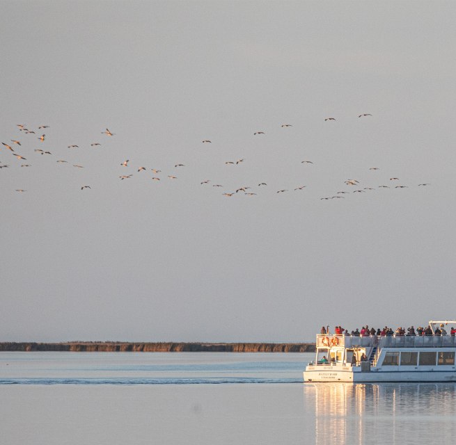 © Weiße Flotte GmbH