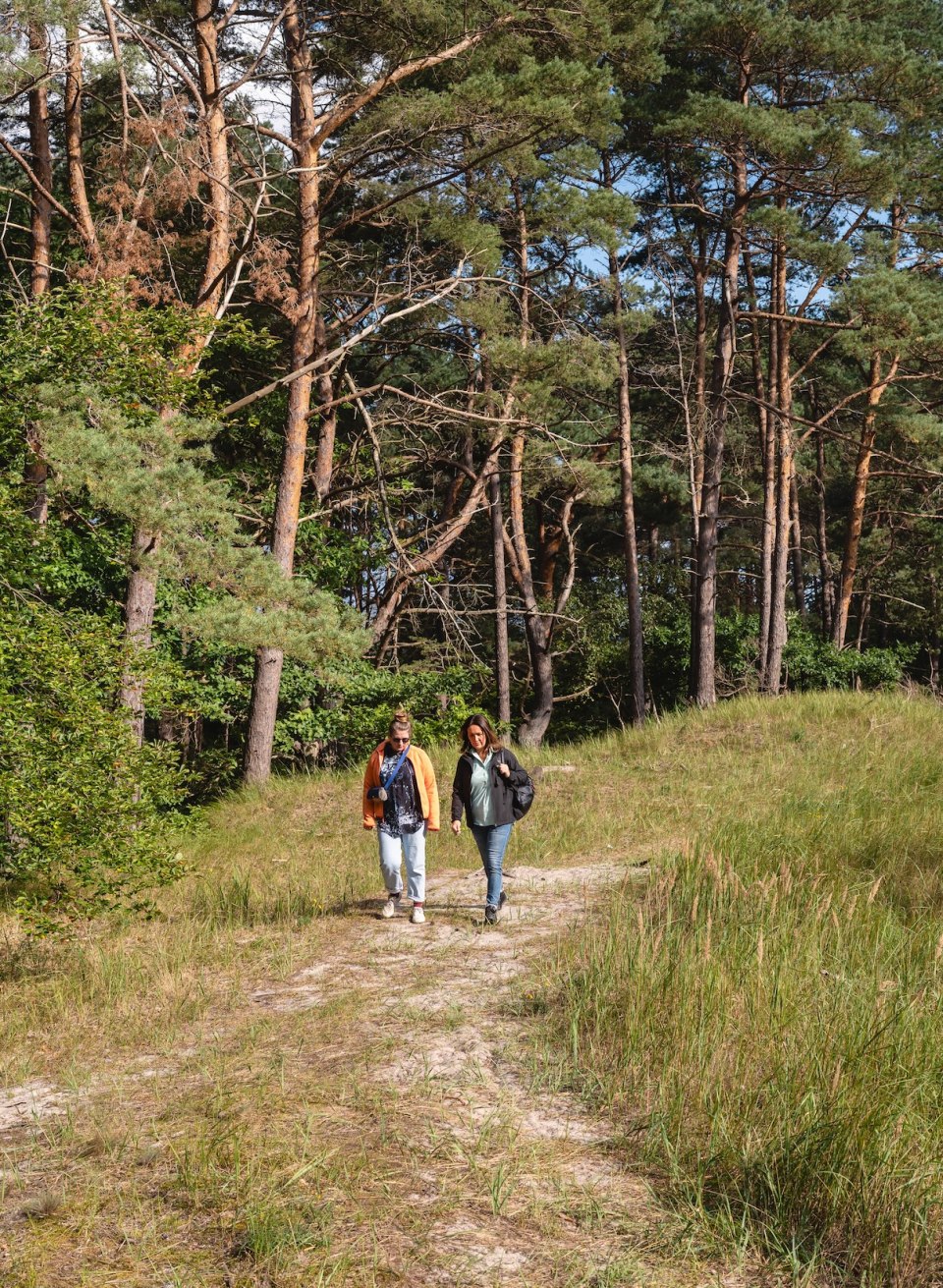 Mindful forest walks have a long tradition in Japan. The coastal forest near Zinnowitz is the perfect place to consciously immerse yourself in nature., © TMV/Gross
