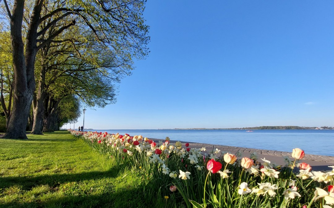 Sundpromenade na wiosnę, © Kredl / TZ HST